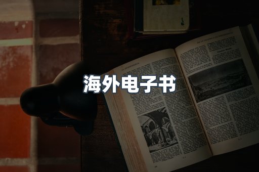 海外电子书